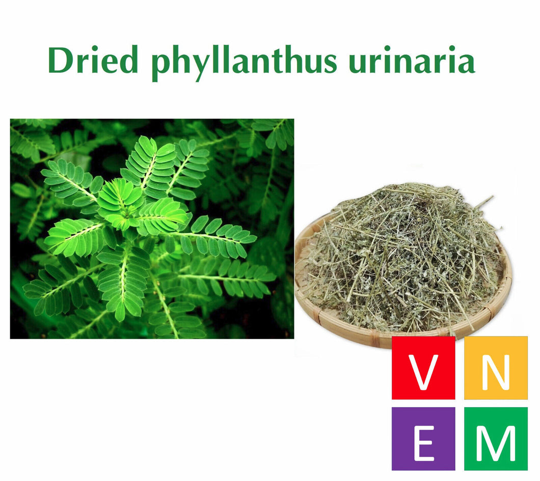 1kg (35.2oz) Dried Phyllanthus Urinaria leaves, 100% Natural, Diep Ha Chau Kho